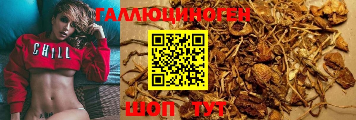 наркота  Вход с VPN  Кудымкар  Псилоцибиновые грибы MAGIC MUSHROOMS  Псилоцибиновые грибы Psilocybe 