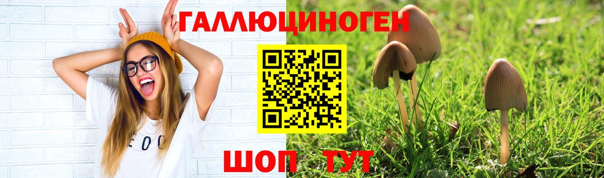 Псилоцибиновые грибы прущие грибы Кудымкар